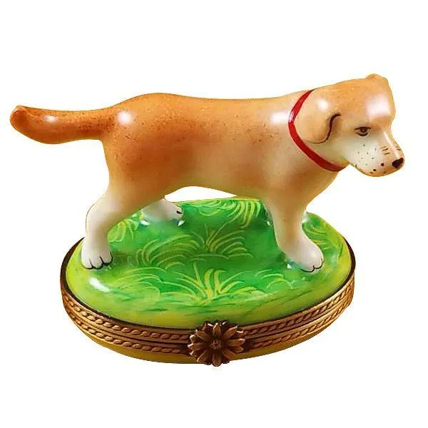 Standing Blond Labrador Limoges Box by Rochard™