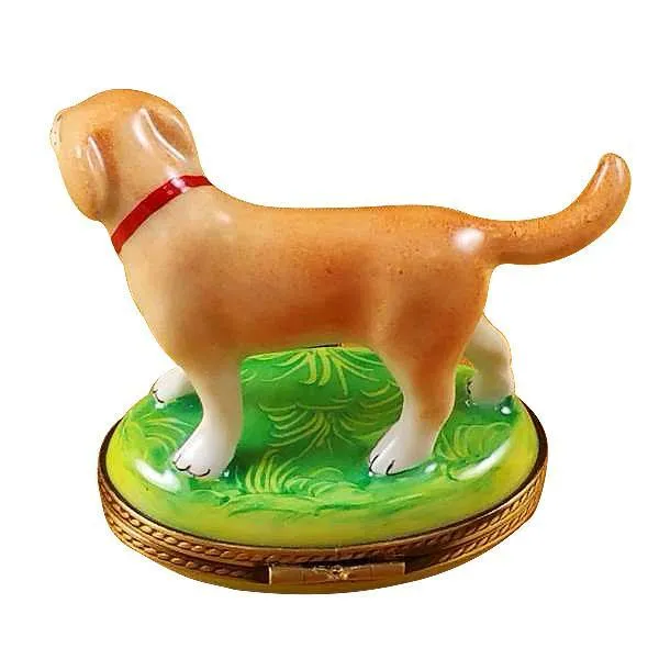 Standing Blond Labrador Limoges Box by Rochard™