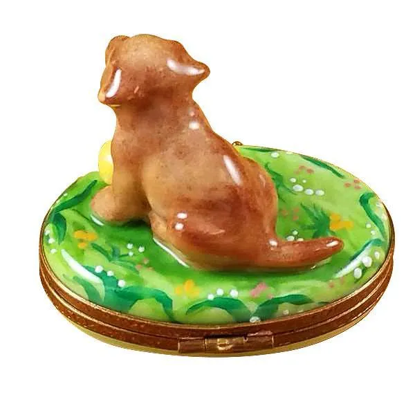 Chocolate Labrador Limoges Box by Rochard™