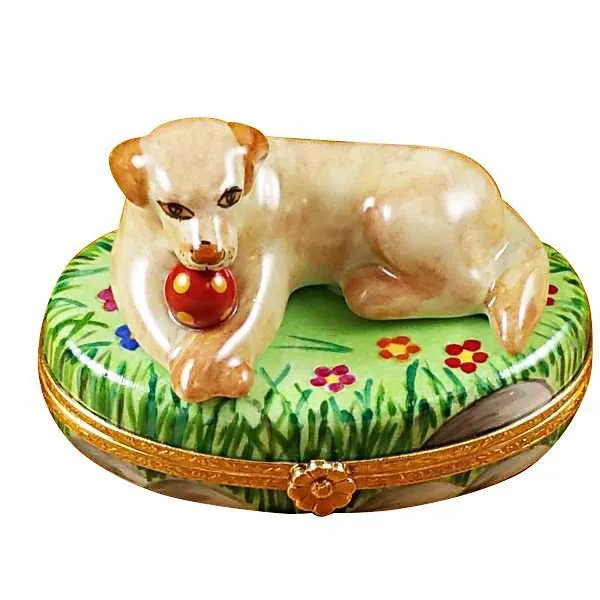 Beige Lab With Ball Limoges Box by Rochard™