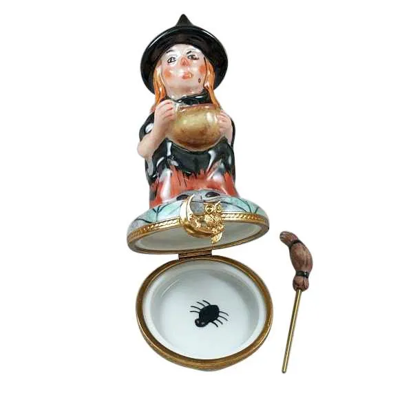 Witch with Broom and Cauldron Limoges Box by Rochard™