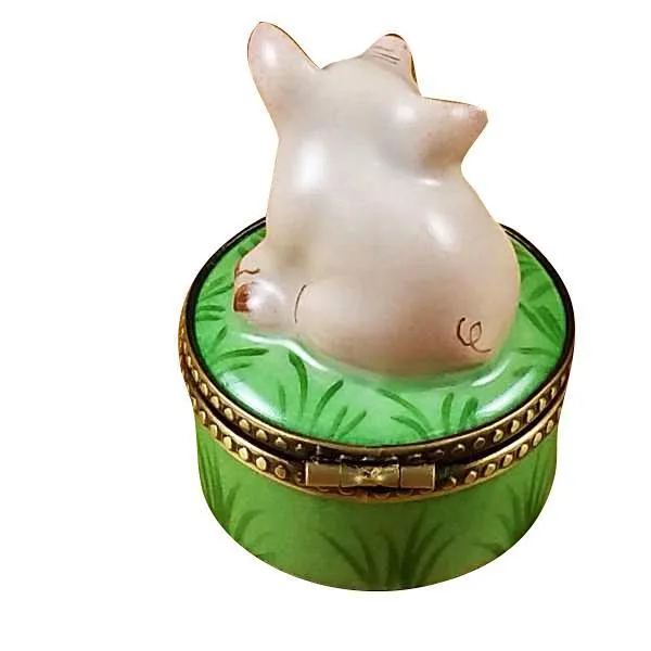 Mini Pig On Green Base Limoges Box by Rochard™