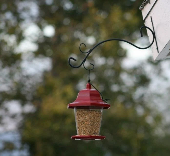 Filigree Glass Hummingbird Feeder - Barbershop
