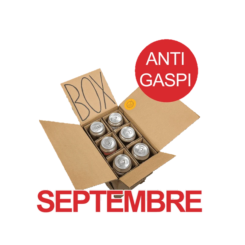 Box Anti-Gaspi du mois de Septembre - 6 bières