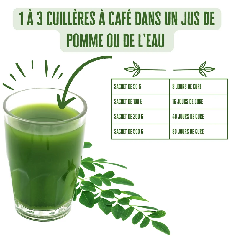 Moringa en poudre