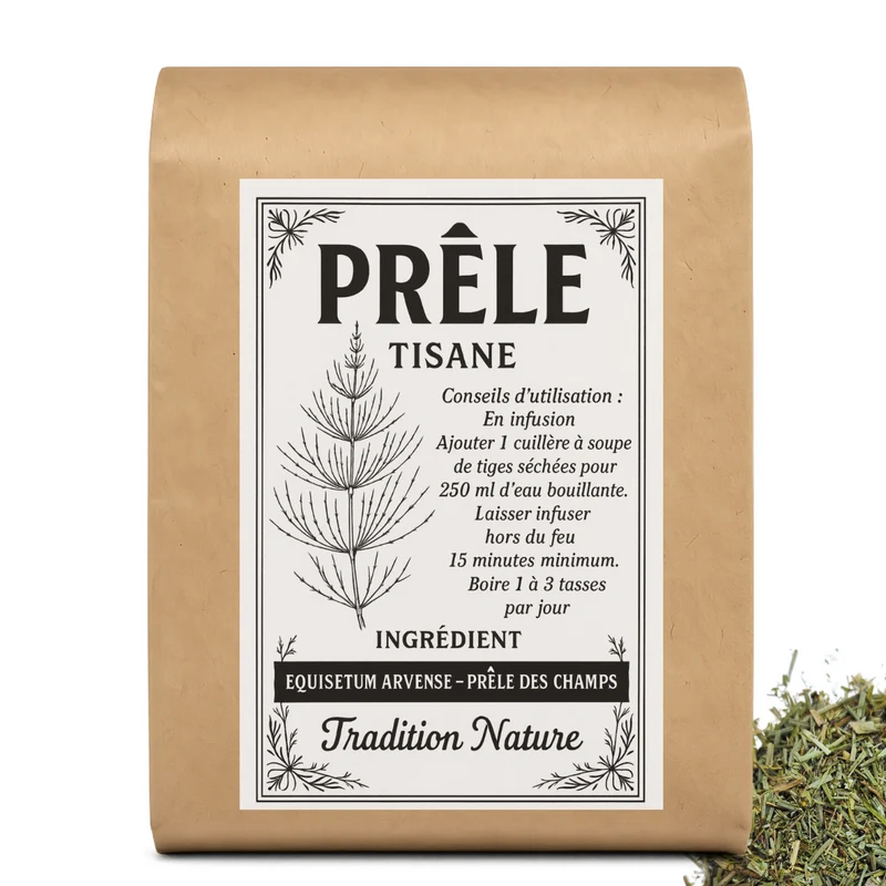 Tisane Prêle des champs | Equisetum arvense - Plante coupée