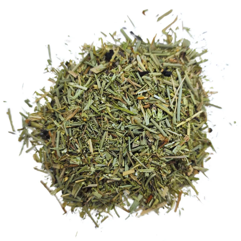 Tisane Prêle des champs | Equisetum arvense - Plante coupée