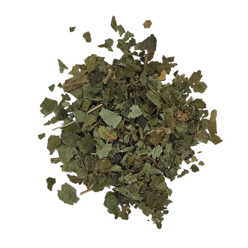 Cassis feuilles coupées | Tisane Ribes Nigrum