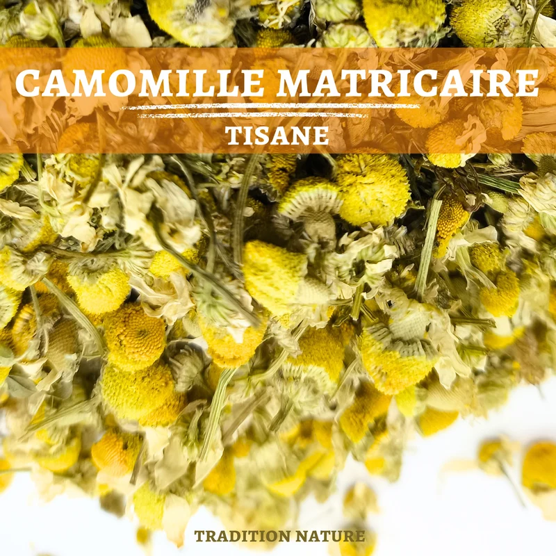 Camomille matricaire tisane