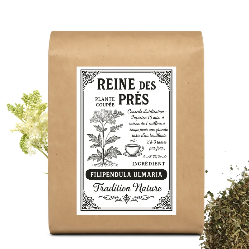 Reine des prés- Filipendula ulmaria - Plante coupée