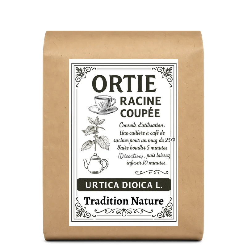 Ortie racine coupée | Urtica dioica