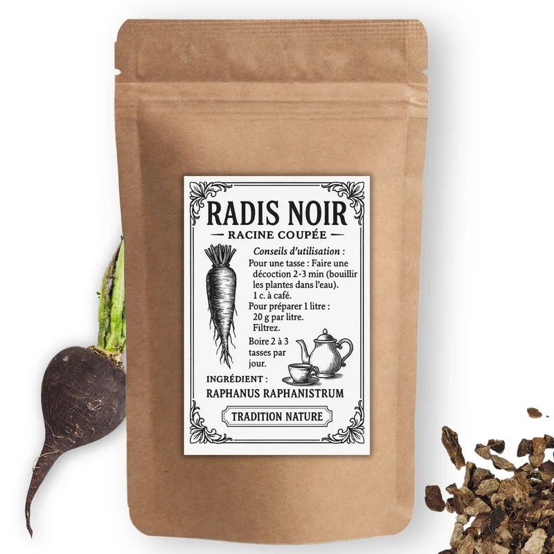 Radis noir racine coupée