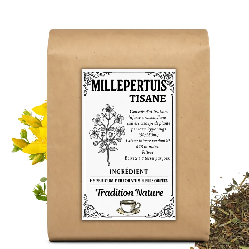 Millepertuis tisane | plante coupée