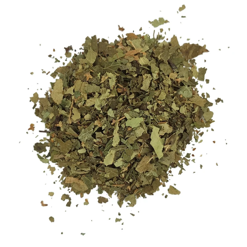 Bouleau tisane - Betula alba - Feuilles coupées