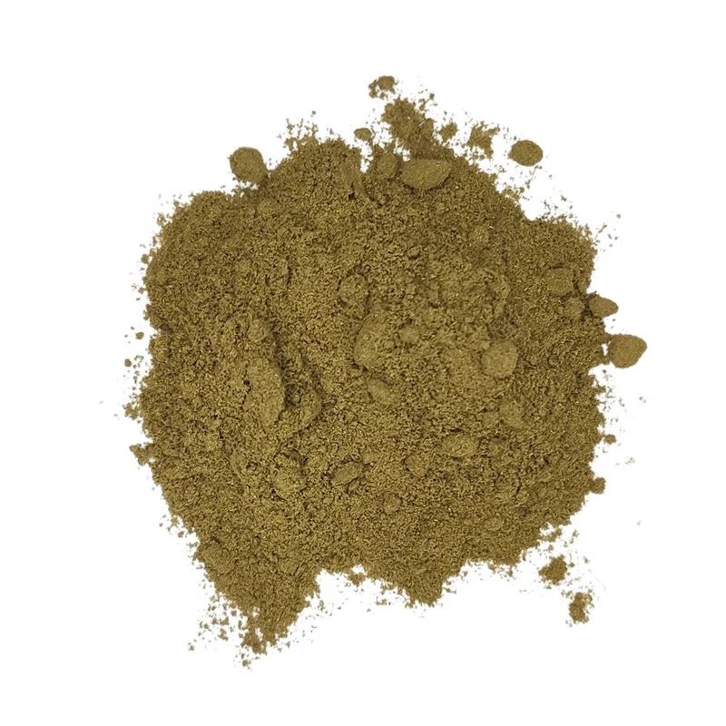 Ginkgo Biloba poudre | 50 g