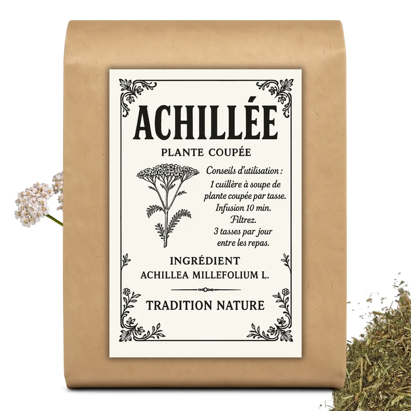 Achillée millefeuille plante coupée