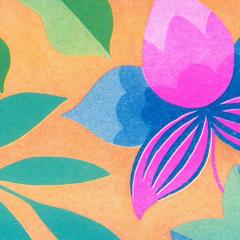 Orchids - Risographie - Chloé Weinfeld