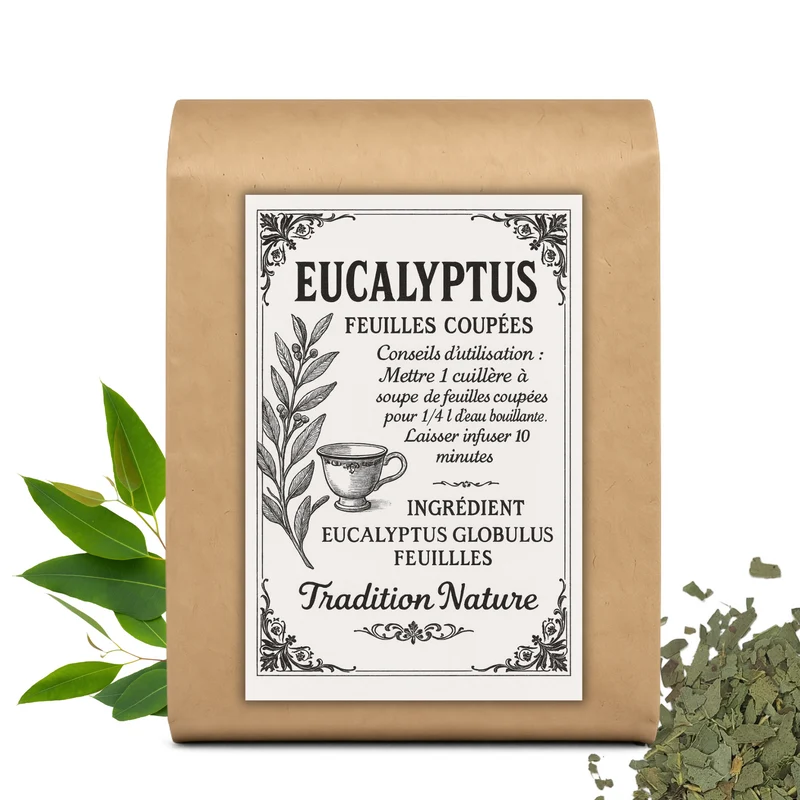 Eucalyptus feuilles coupées tisane