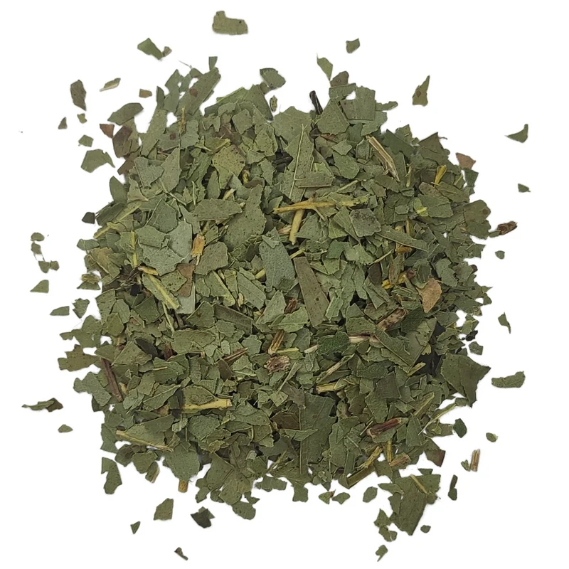 Eucalyptus feuilles coupées tisane