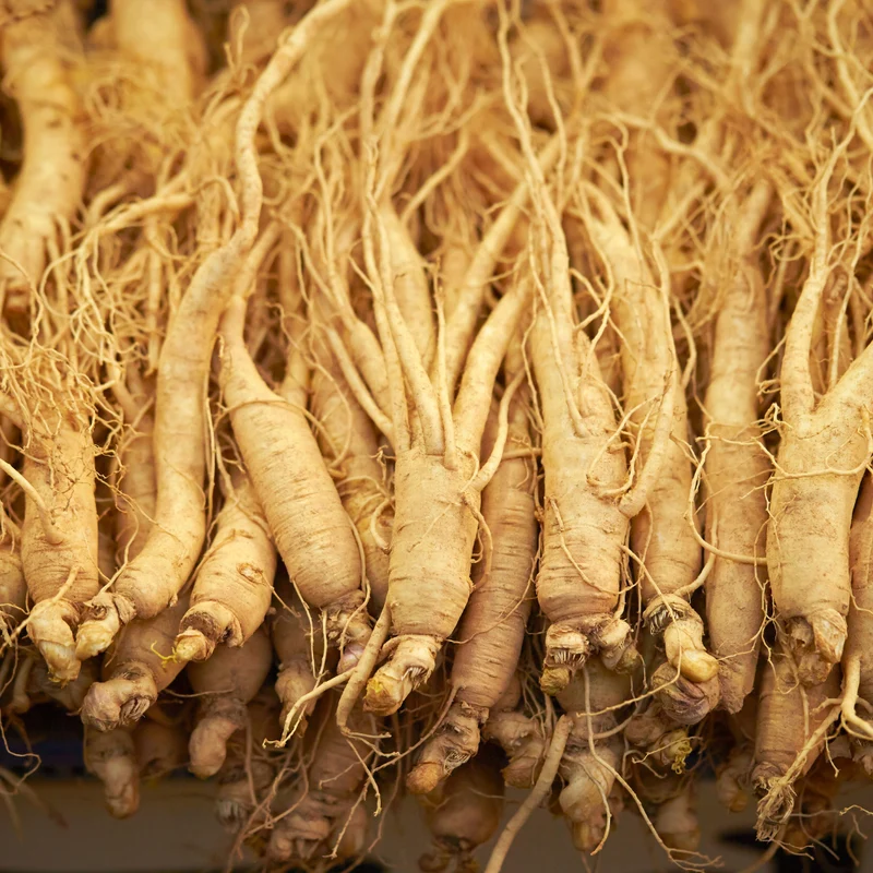 Ginseng (blanc) racine coupée