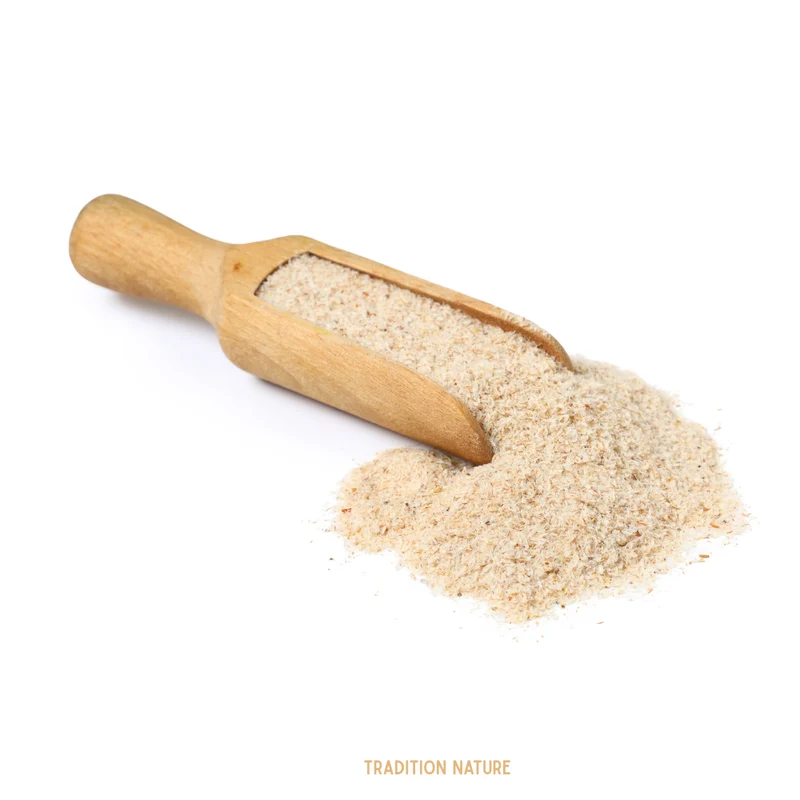Psyllium blond entier - Plantago ovata