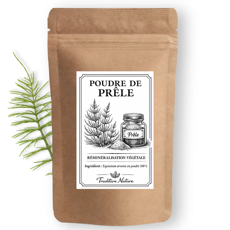 Prêle en poudre - Equisetum arvense