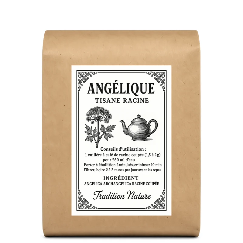 Tisane Angélique - Racine coupée