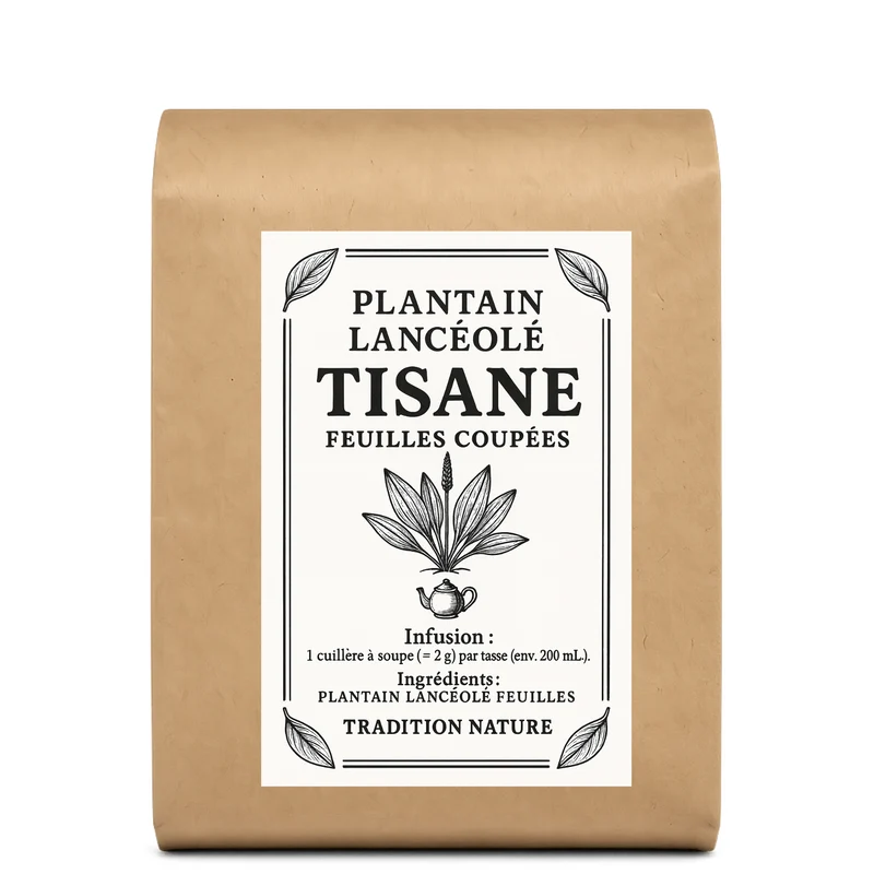 Plantain lanceolé | Tisane feuilles coupées
