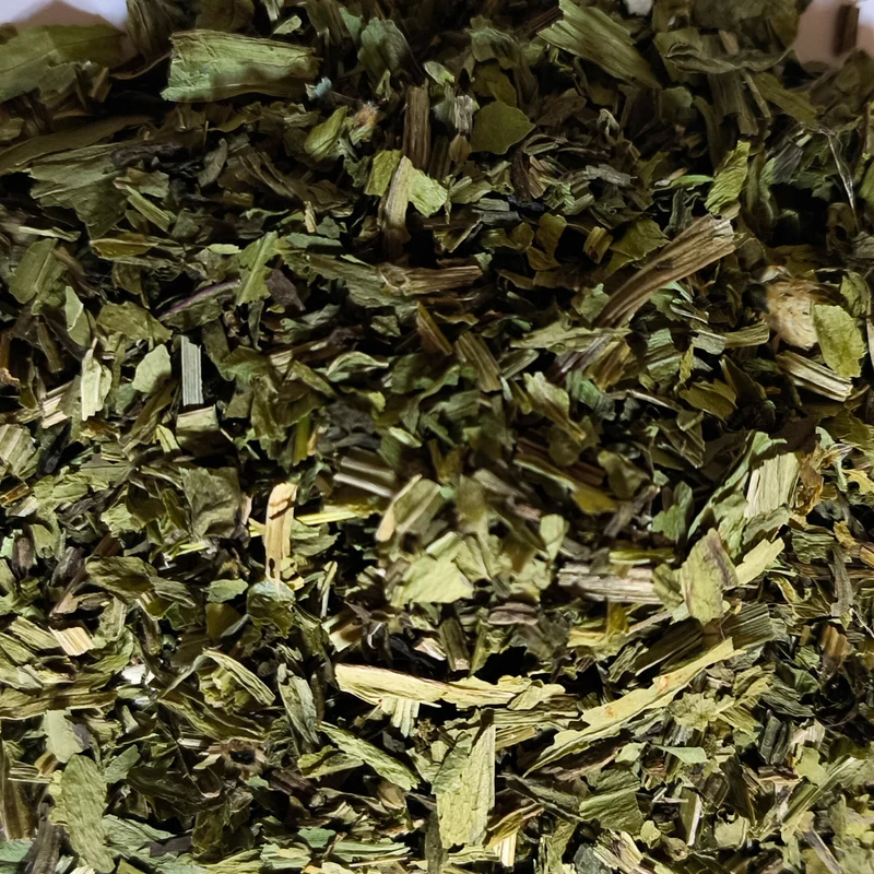 Plantain lanceolé | Tisane feuilles coupées