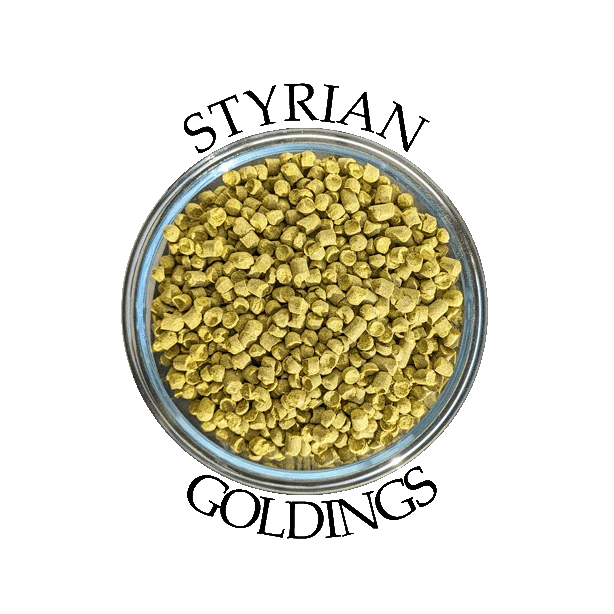 Houblon Styrian Goldings (SLO)