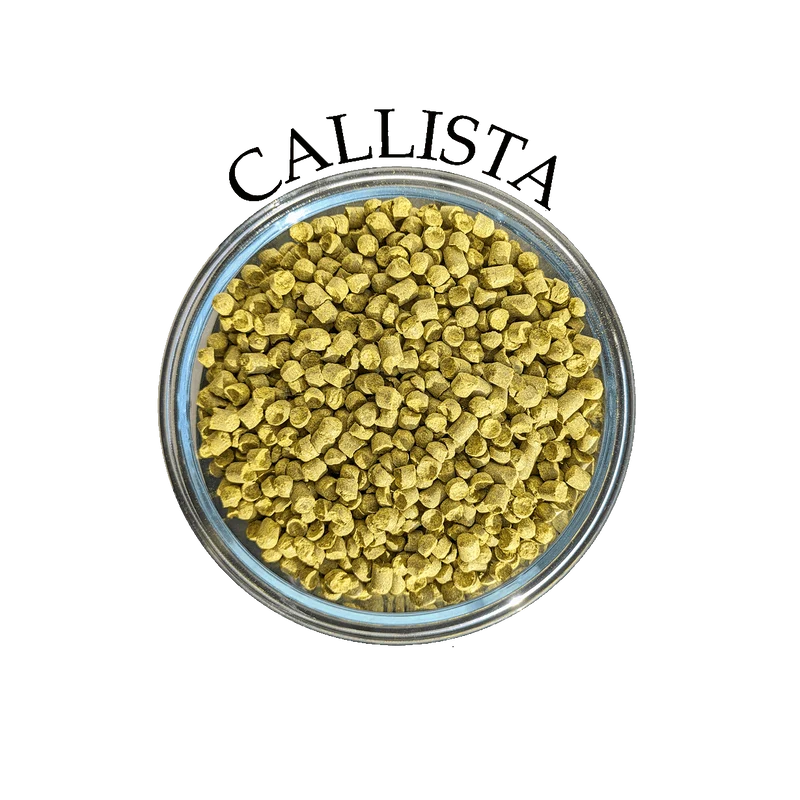 Houblon Callista (DE)