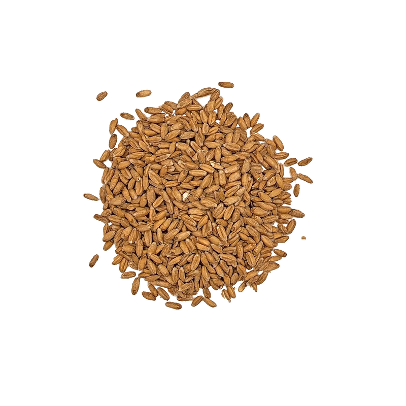 Malt Epeautre - Bestmalz - 3 à 7 EBC