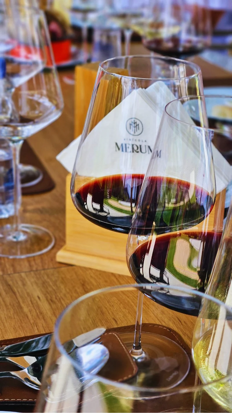 Vinícola Merum