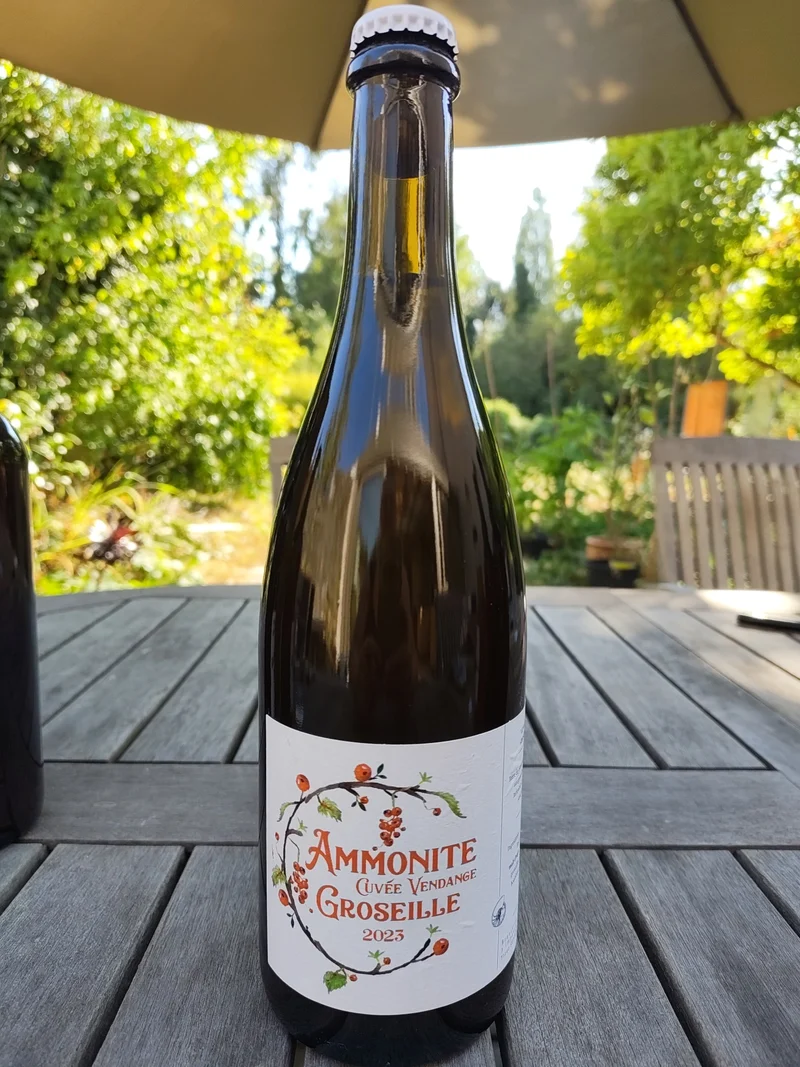 Ammonite cuvée vendange Groseille 2023 75cl