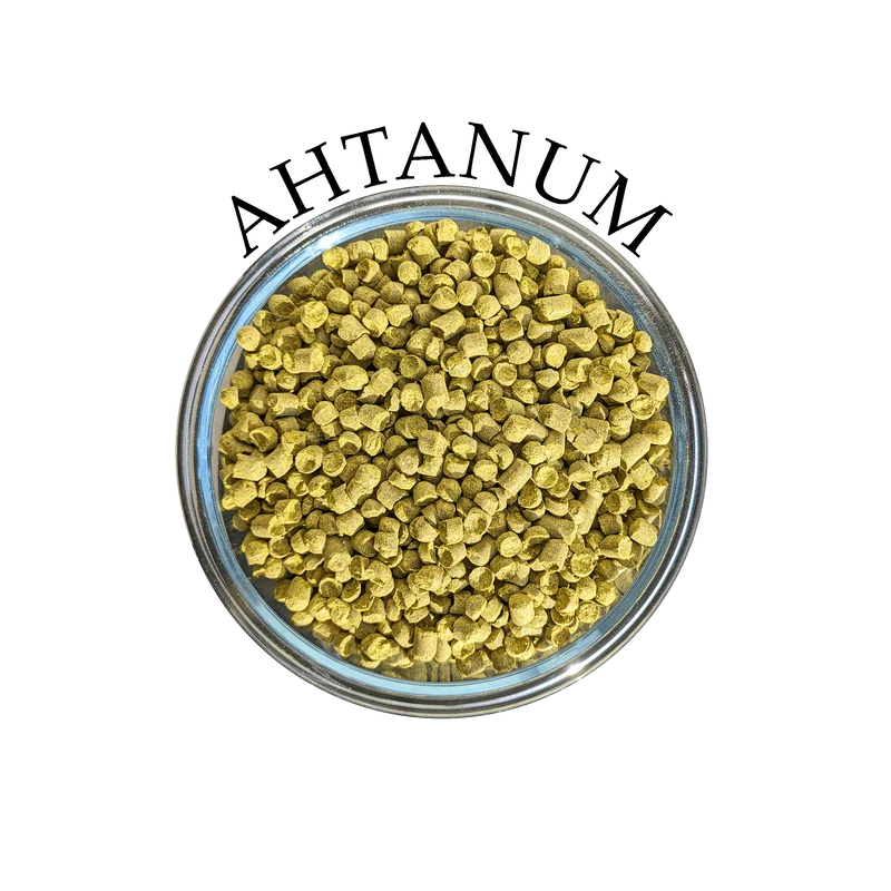 Houblon Ahtanum (US)