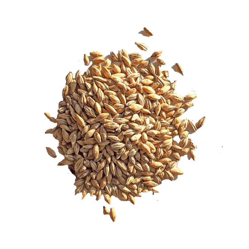 Malt Acide - BEST - 3 à 8 EBC