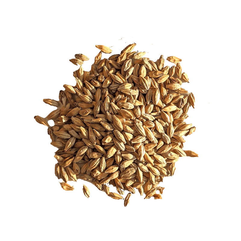 Malt Caramel Munich I - BEST - 81 à 100 EBC
