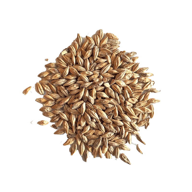 Malt Caramel Amber - BEST - 61 à 80 EBC