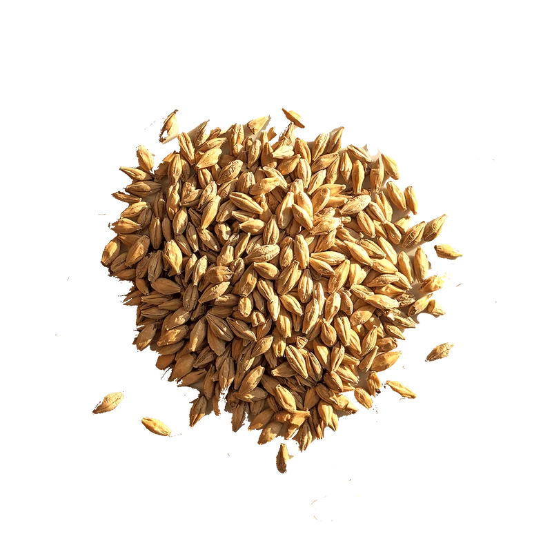 Malt Munich Dark - BEST - 21 à 35 EBC