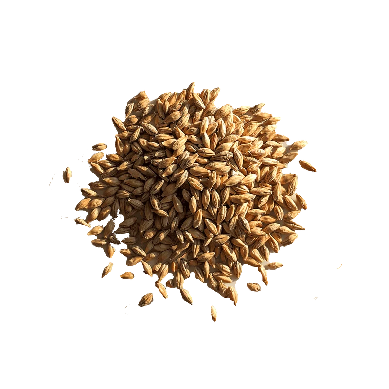 Malt Vienna - BEST - 8 à 10 EBC