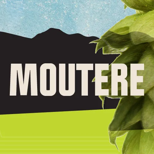 Moutere CY 2023 T90 Hop Pellets