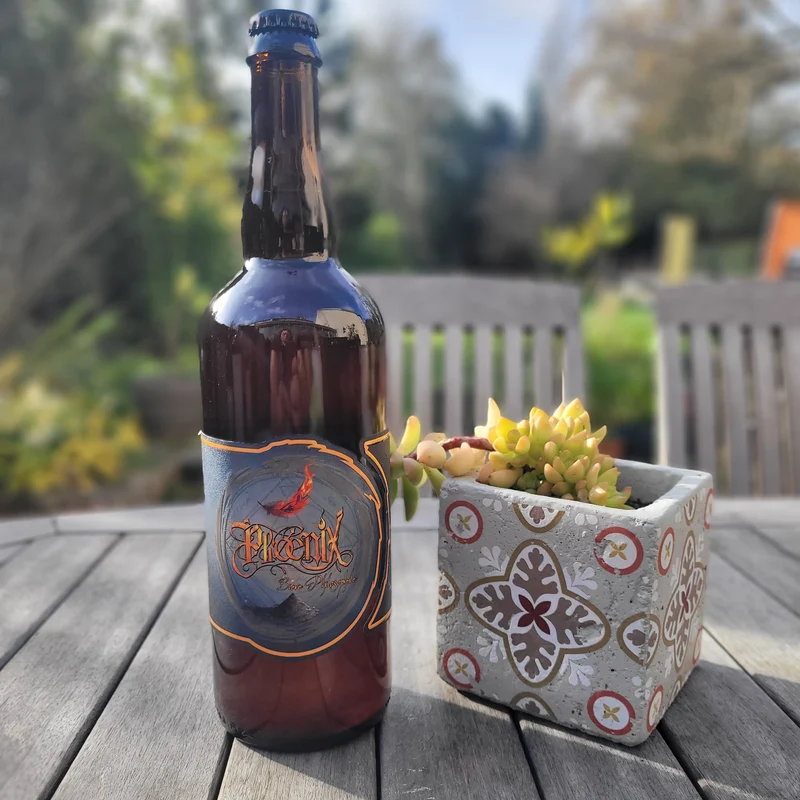 Phoenix - Brasserie Ouroboros - 75cl