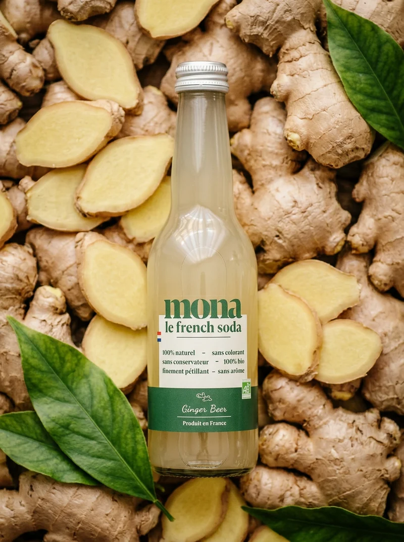 Ginger beer Bio