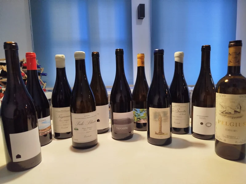 Vidueño Wine Bar