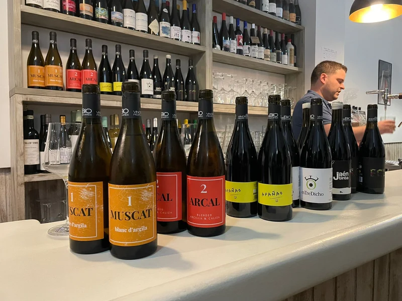 Vidueño Wine Bar
