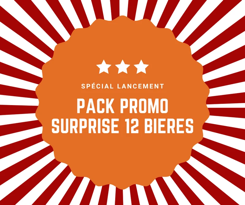 Pack Promo Surprise - 12 bières