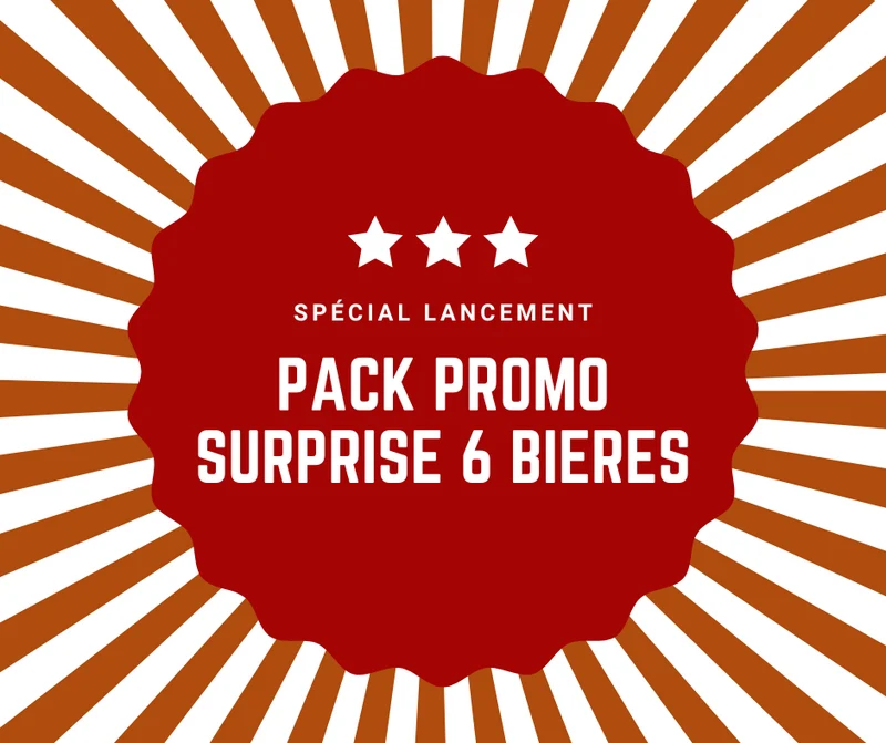 Pack Promo Surprise - 6 bières