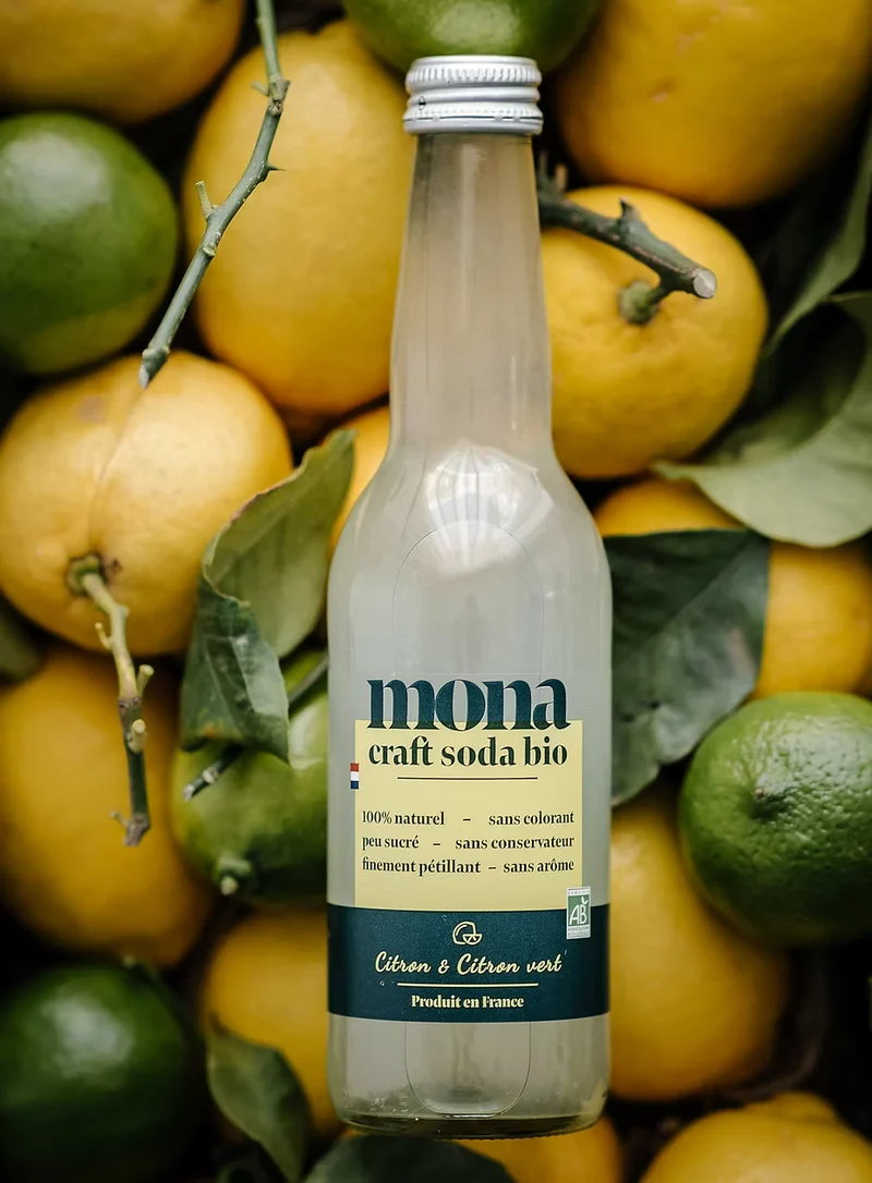 Limonade citron & citron vert bio