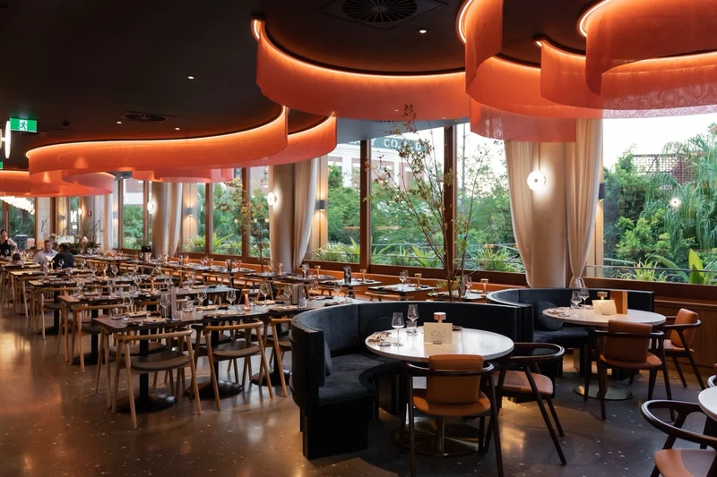 IPPIN Japanese Dining
