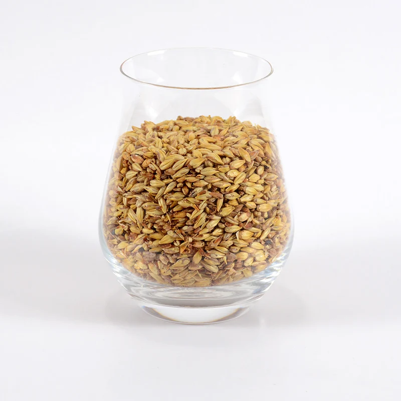 Special Roast Malt - Briess